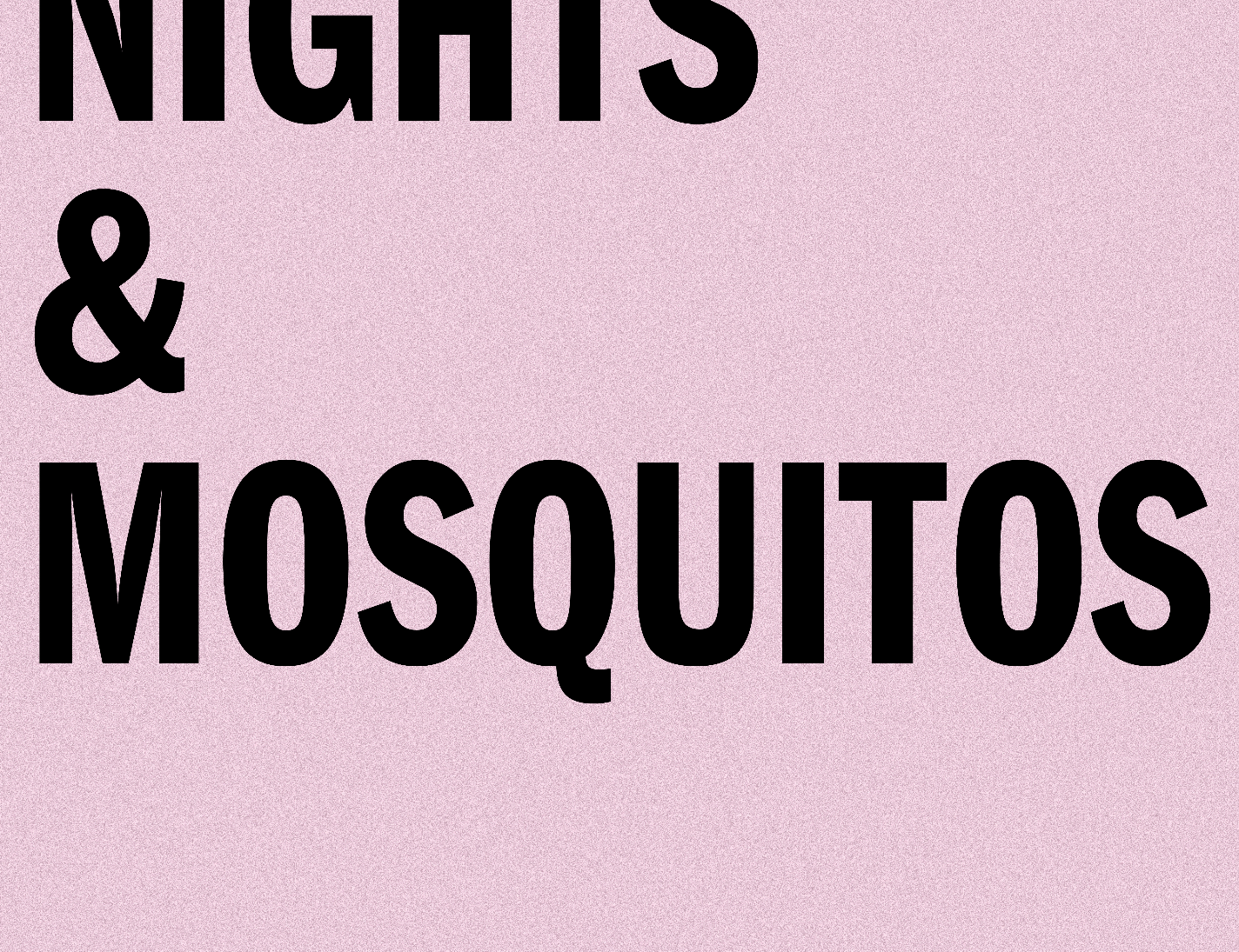 Summer Nights & Mosquitos